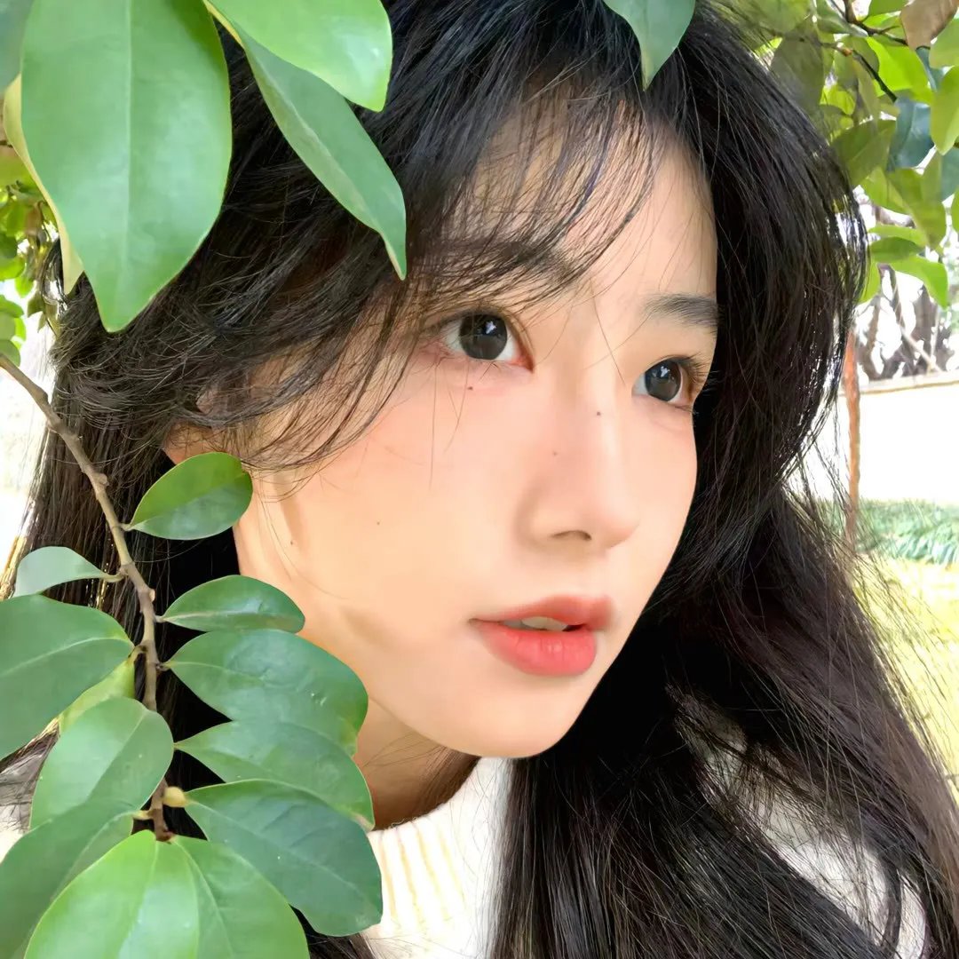 藏爱之咒